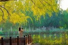 成人动漫视频-成人动漫视频，文化交汇的独特视角与艺术表达