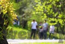 国产91麻豆视频-探索与评判，国产视频平台内容多元化的视角