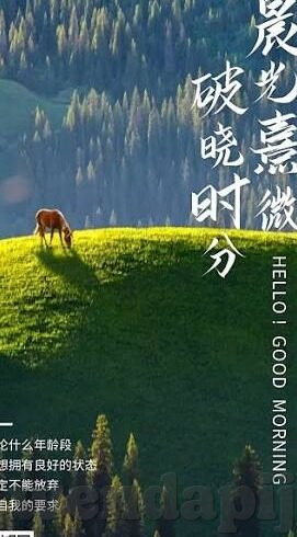 免费下载糖心app-探索糖心APP —— 美好生活的一站式平台