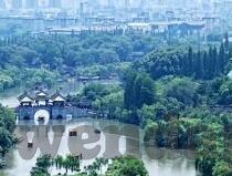 糖心视频app官网入口汅-探索现代娱乐的边疆，在线视频平台的多彩世界