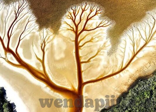 www.麻豆视频-探寻视频娱乐的新维度 —— 麻豆视频的精彩探索