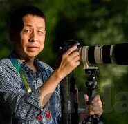 中文神马伦理电影-探索中文伦理电影的多元视角与文化价值
